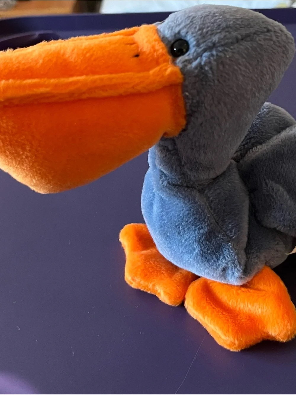 Scoop the Pelican Beanie Baby